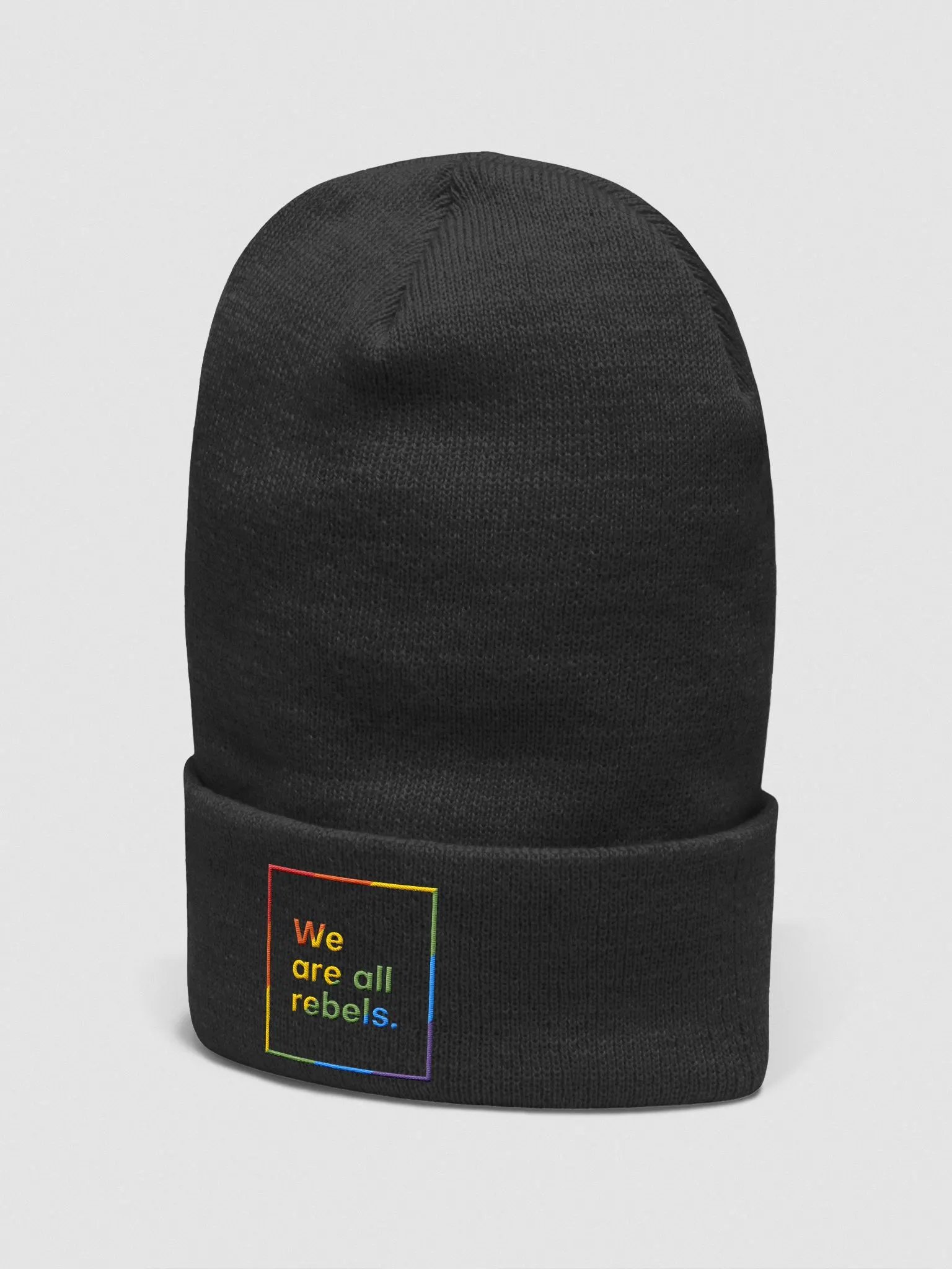 Pride Beanie (Embroidered) product image (7)