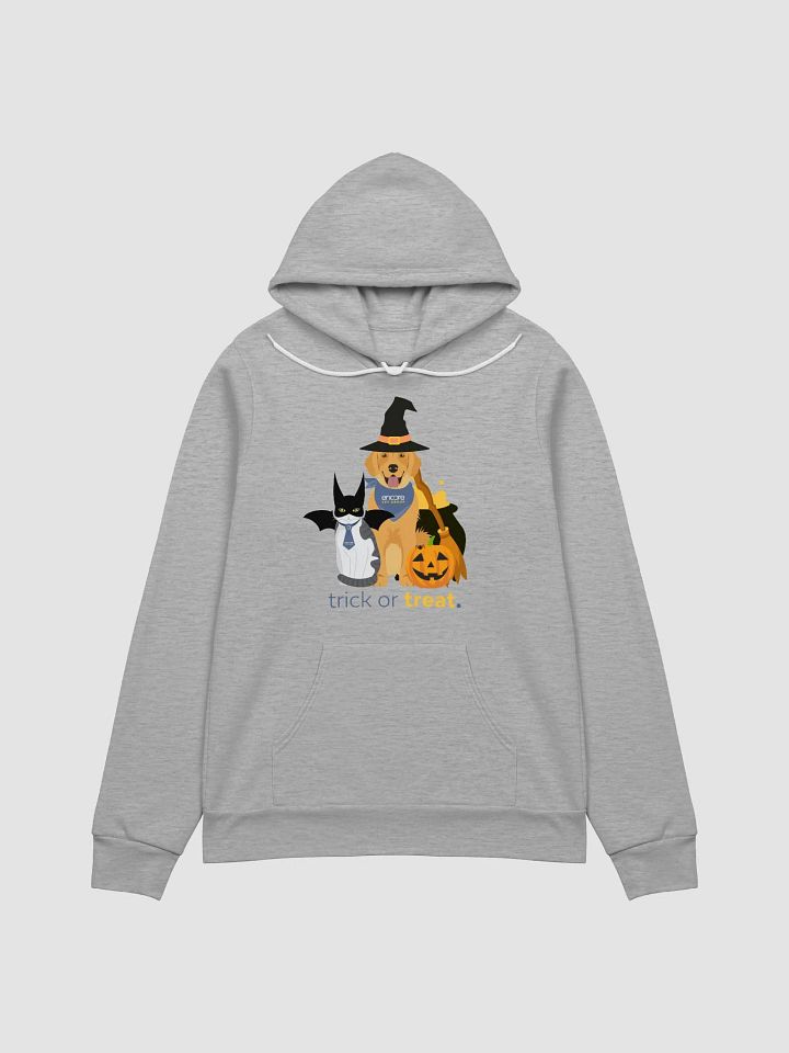 Encore Halloween Bella & Canvas Hoodie product image (1)