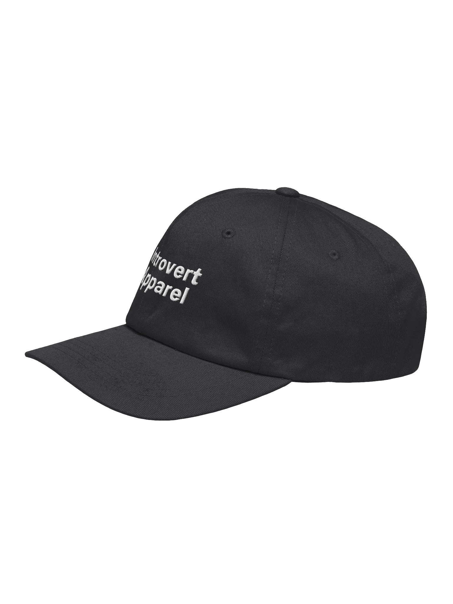 Introvert Apparel Embroidered Hat product image (3)