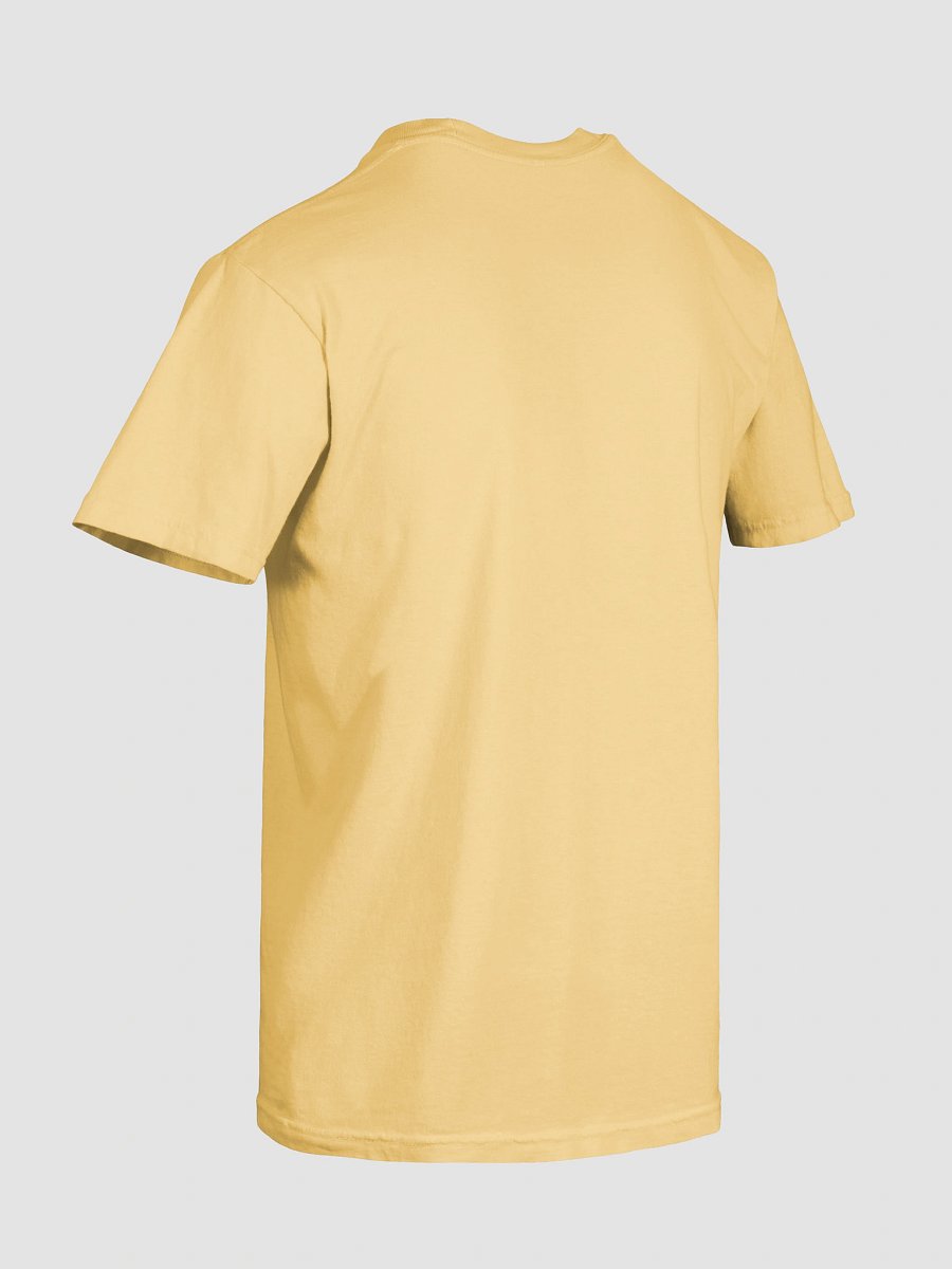 Cosmic Journey Unisex Heavyweight Tee product image (8)