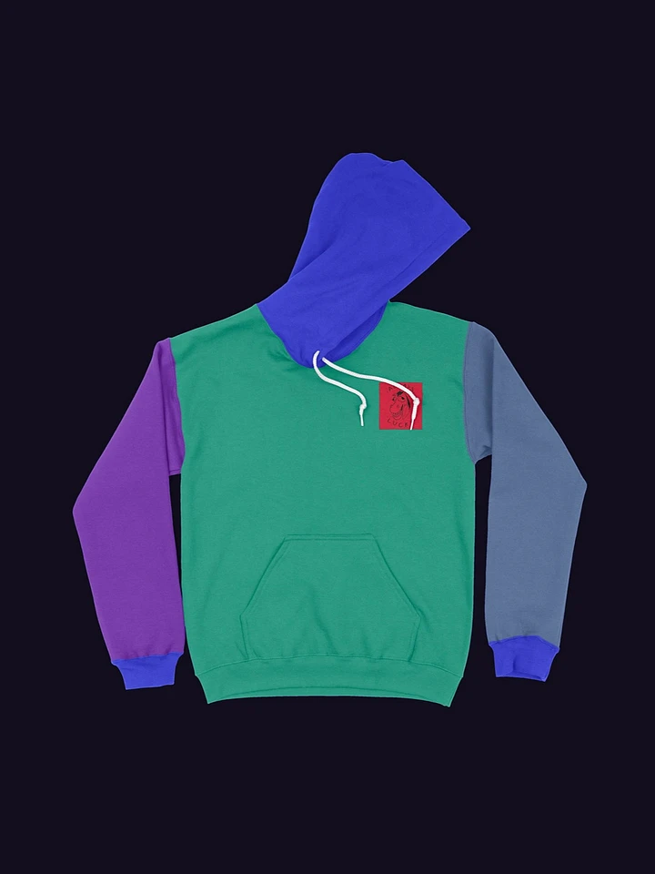 *SPECIAL EDITION* Colorblock Hoodie product image (1)