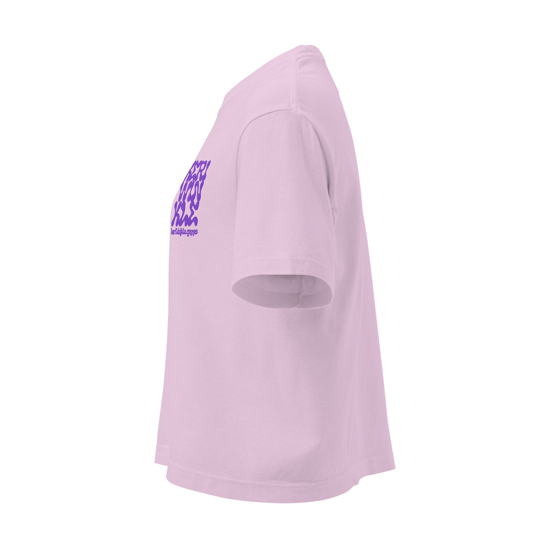 Embroidered Logo Boxy Tee product image (4)