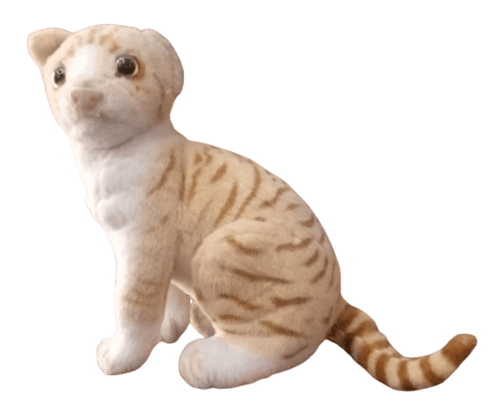 CAT SOFT TOY product image (1)