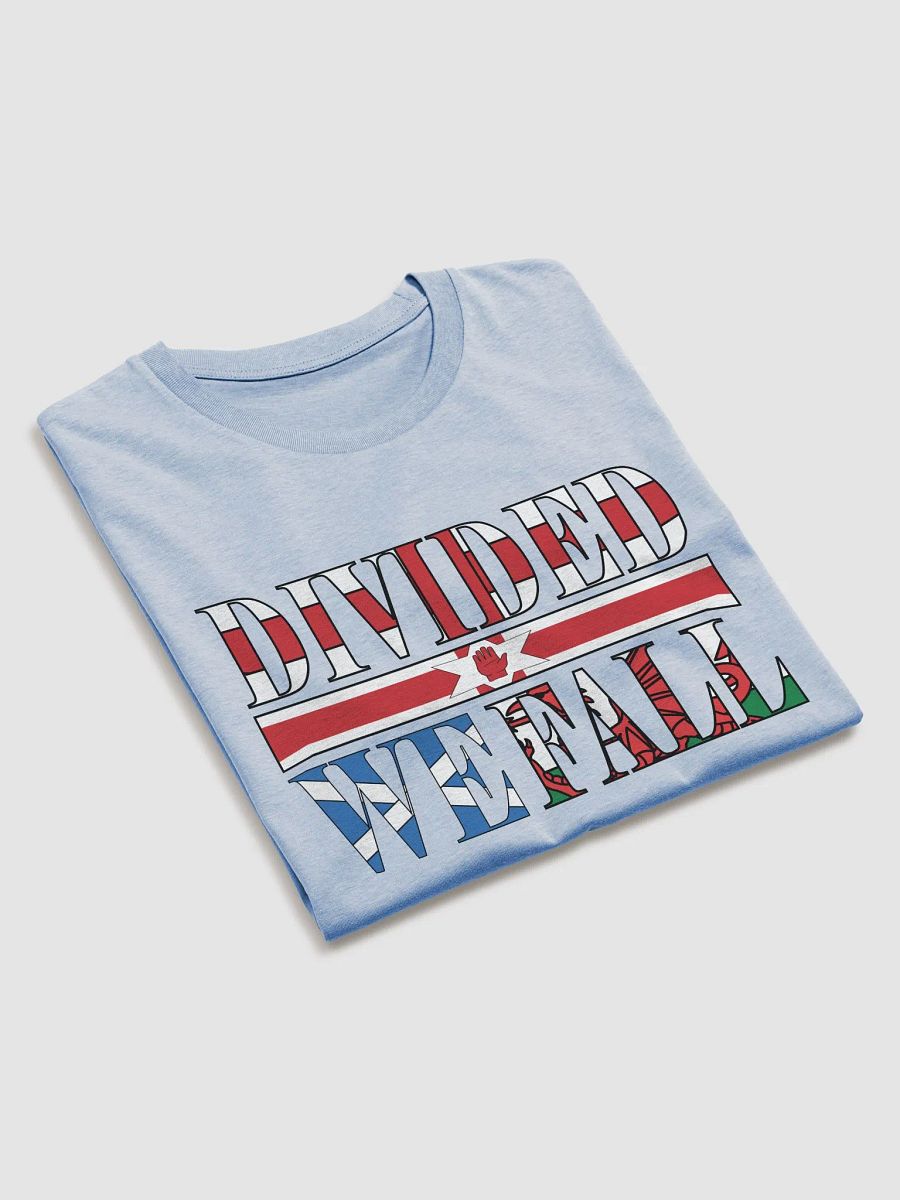 Divided We Fall - UK - Stanley/Stella Organic Cotton T-Shirt product image (3)