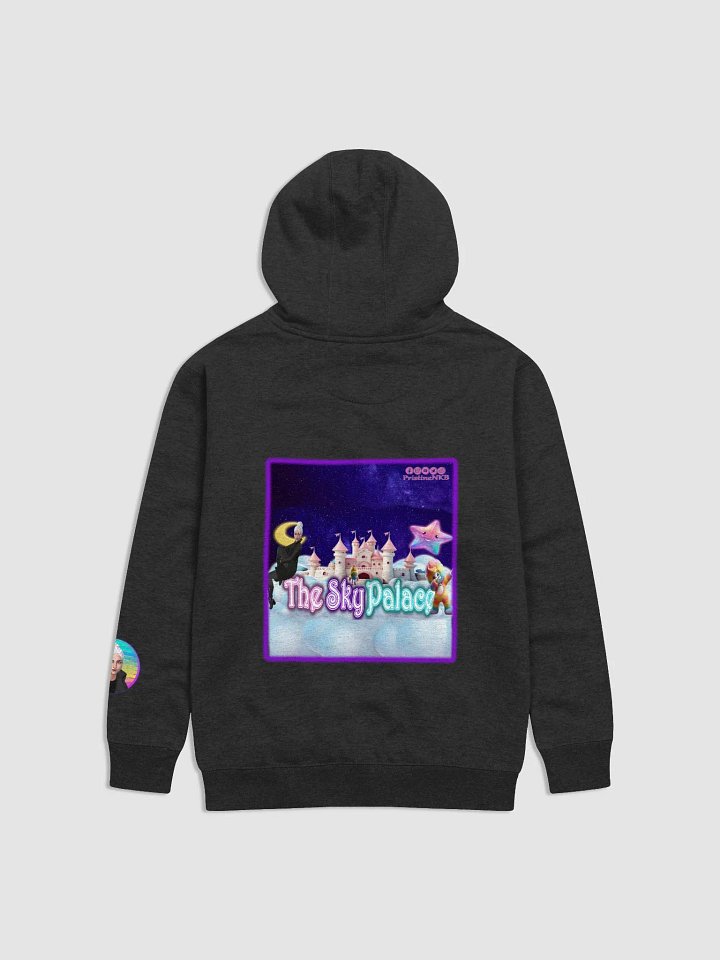 TSP Hoody product image (2)