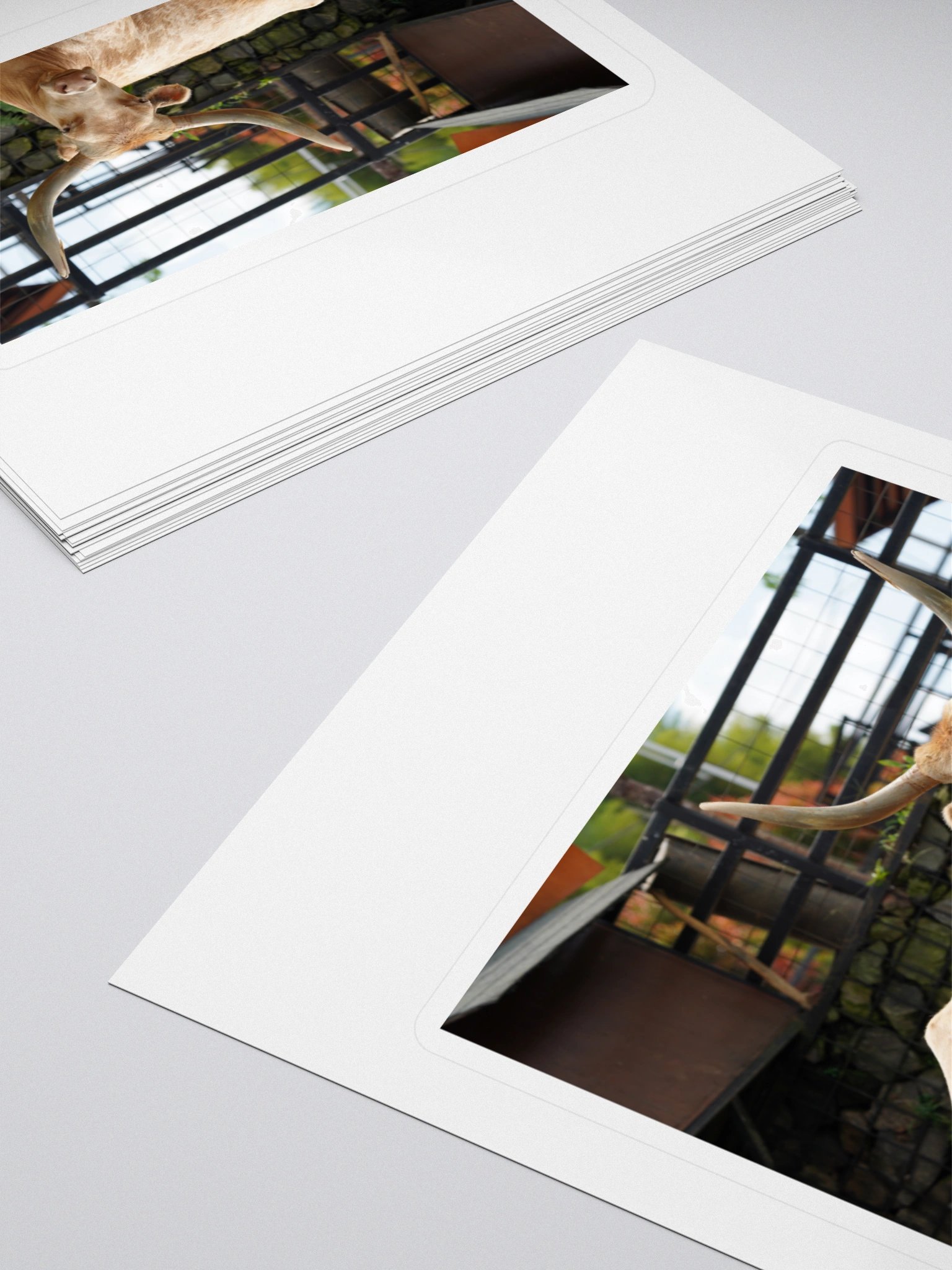 Majestic Longhorn Cow Kiss Cut Stickers product image (4)