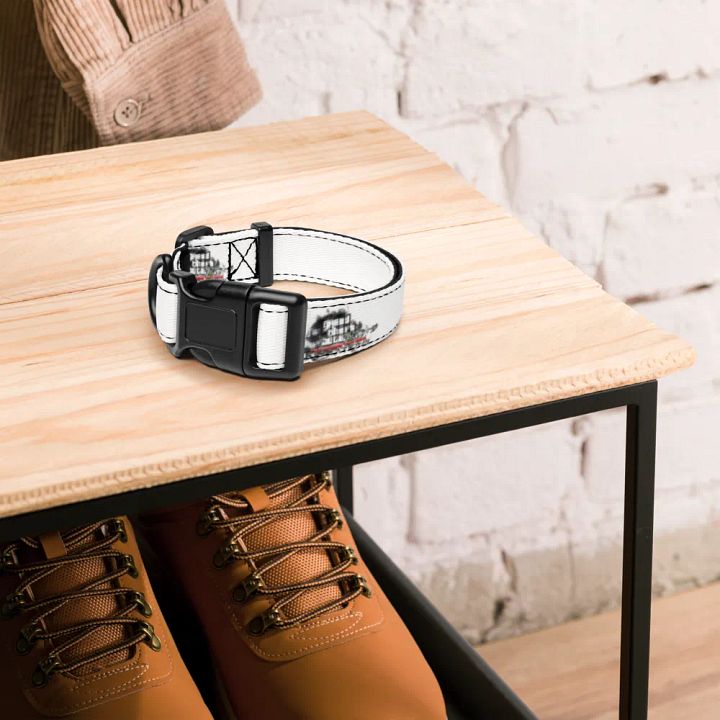 ZAR Pet Collar product image (4)