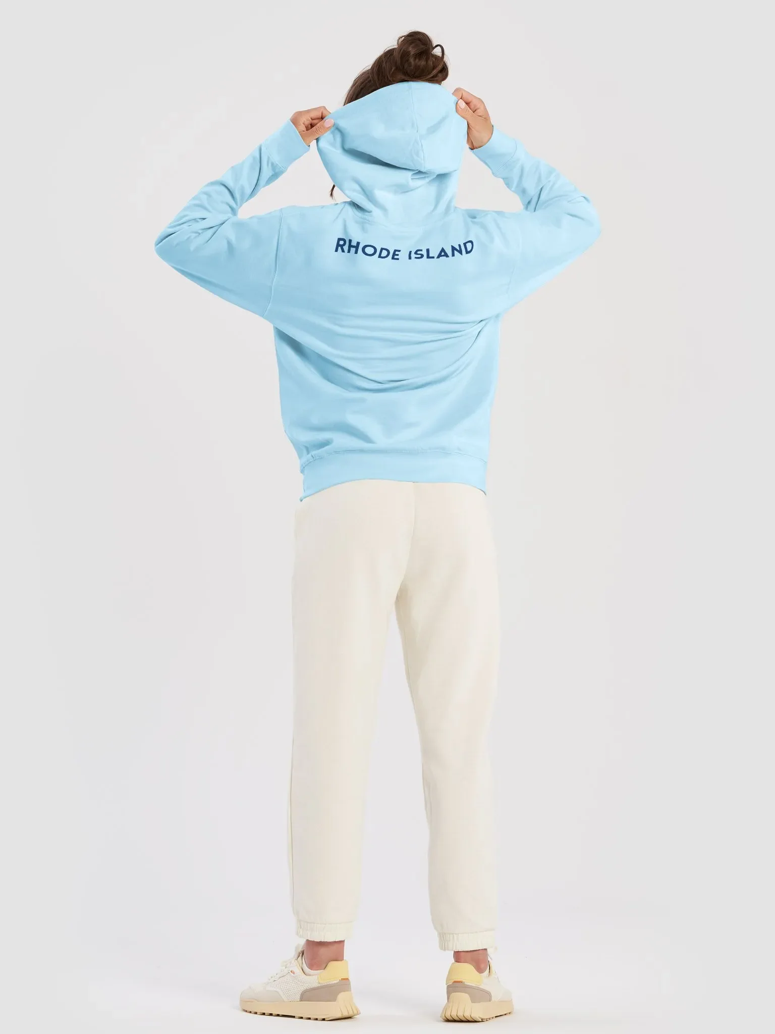 The Rhode Island Pineapple Story II (Heavyweight Fabric) product image (41)