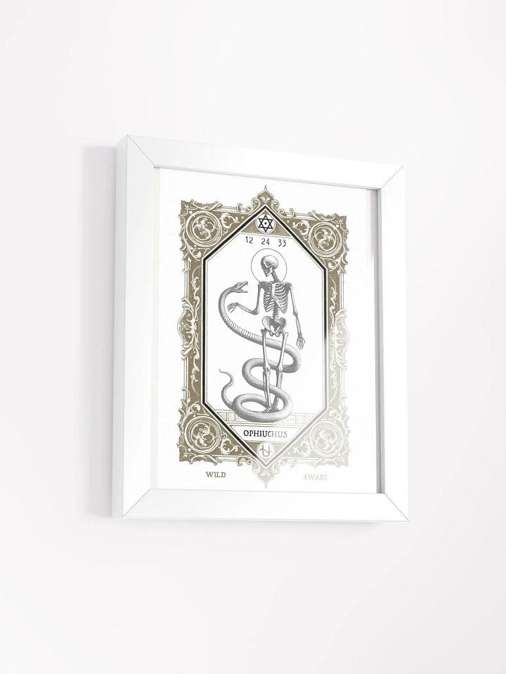 HERMETIC ZODIAC 8X10 Ophiuchus product image (2)