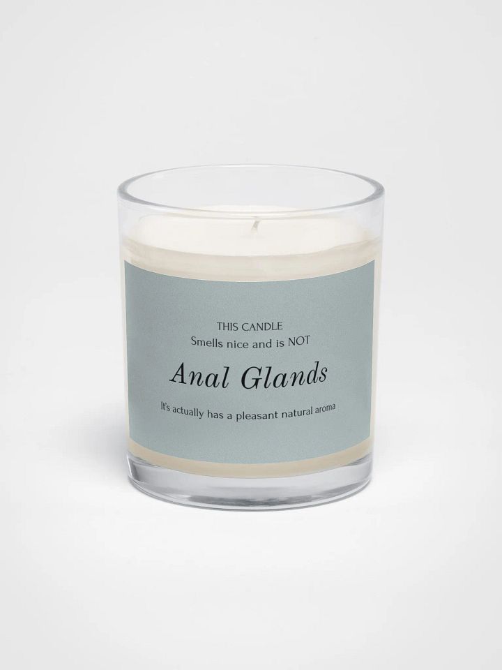 Veterinary humor candle "anal glands" product image (1)
