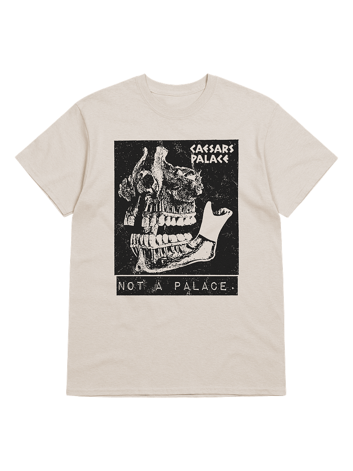 NO PALACE product image (1)