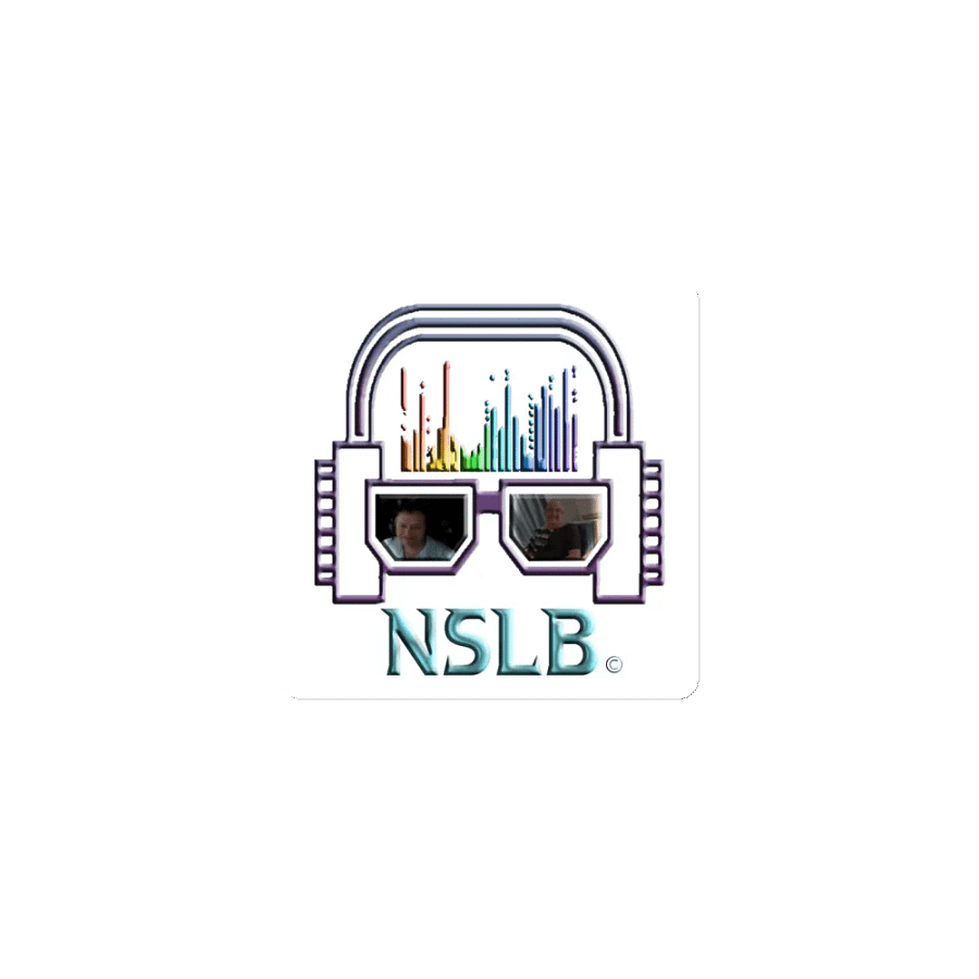 NSLB Vibes & Visionaries Die-Cut Magnets product image (1)