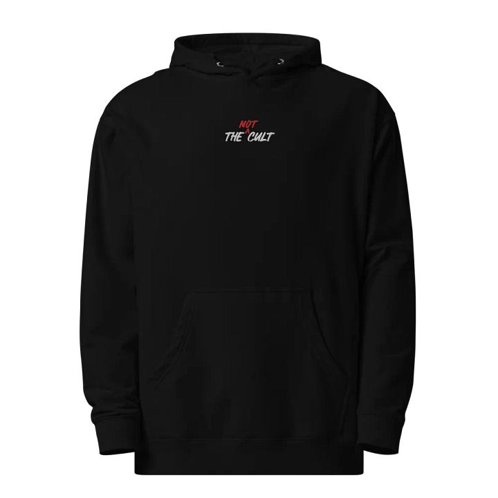 Not-Cult Embroidered Hoodie (DARK) product image (1)