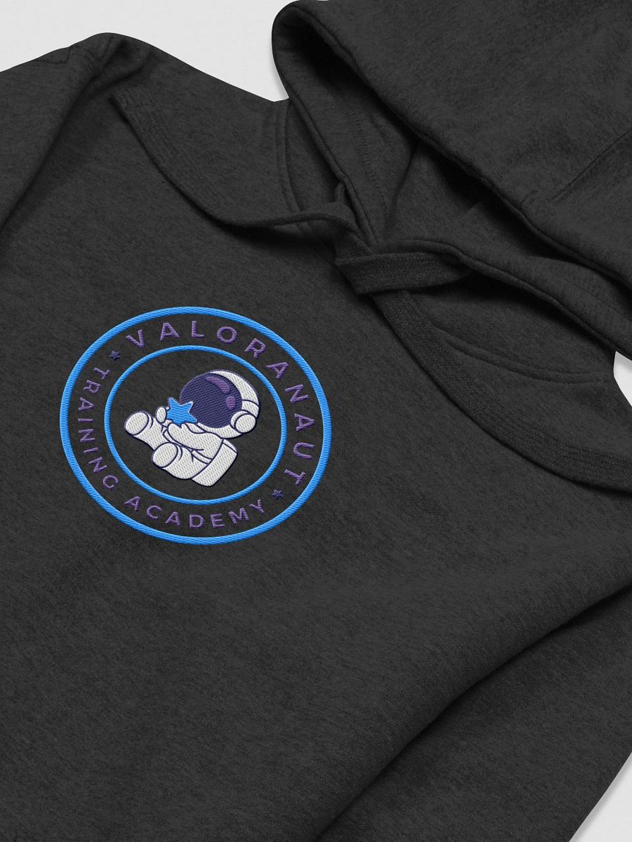 VTA 2.0 Embroidered Hoodlum product image (1)