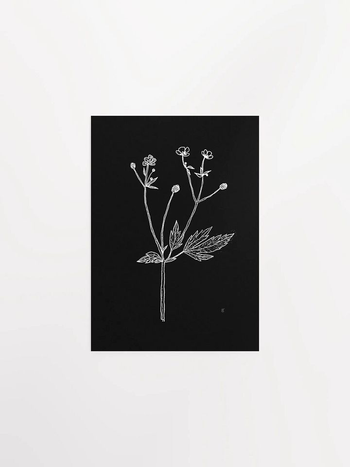 Botanical Bliss Matte Poster - Wild Flowers Dark Stylish product image (1)