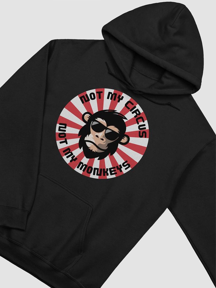 Not My Circus Vibes Hoodie product image (101)