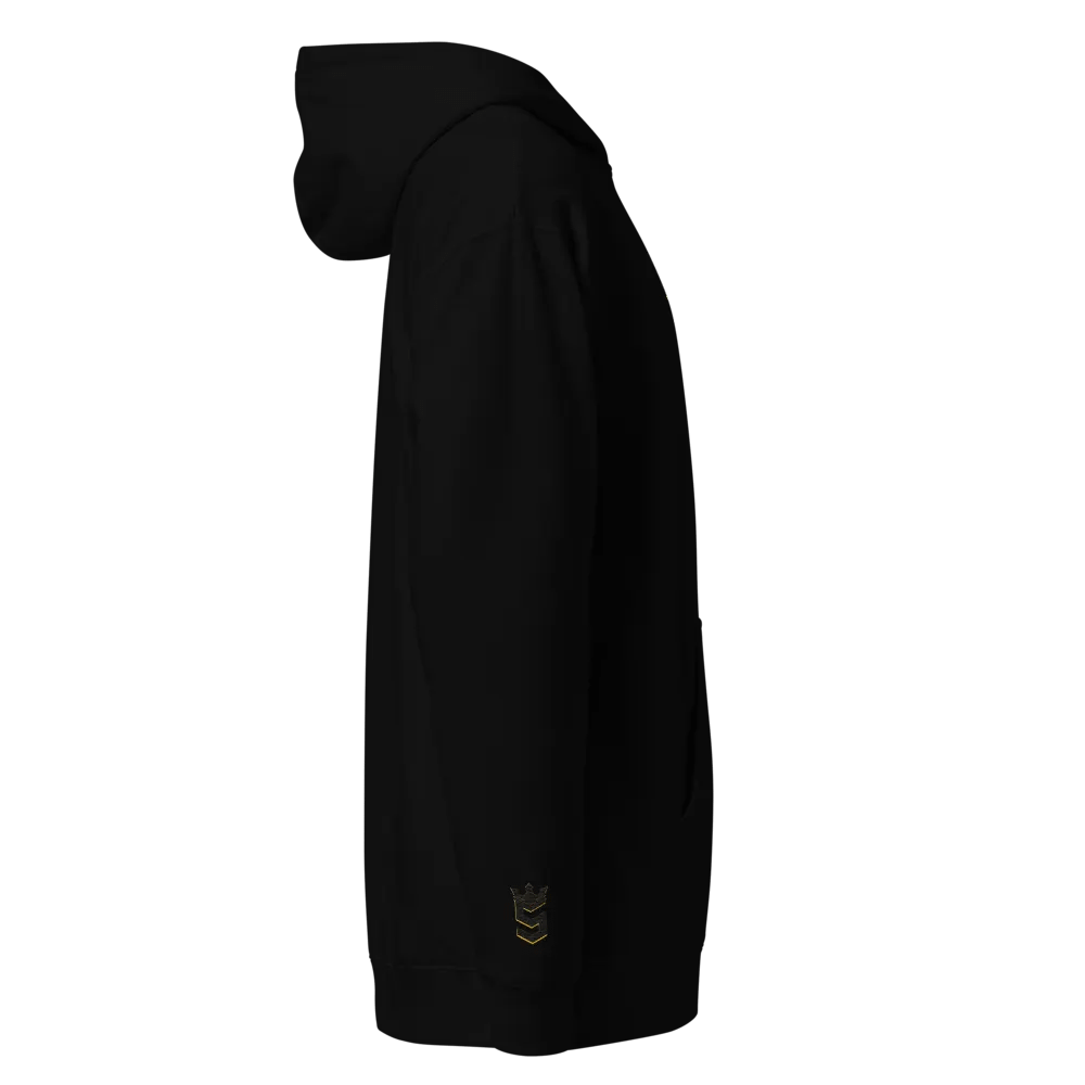 Speedy's Aesthetics Hoodie product image (6)