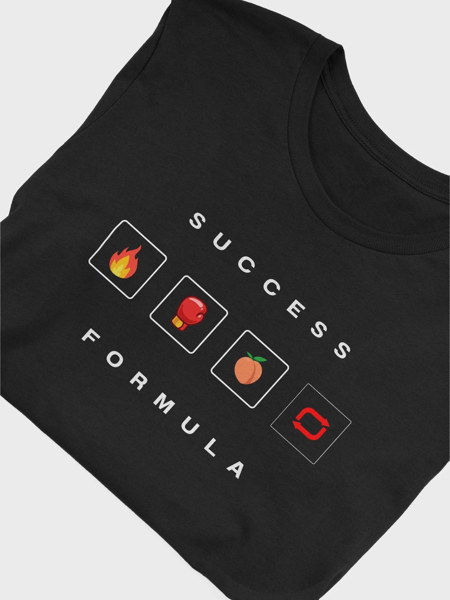 Success Formula Tee – Burn Box Build product image (5)