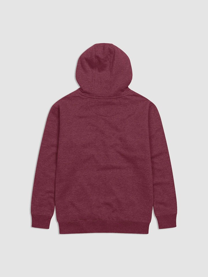 Cure Ignorance Not Autism Hoodie product image (4)