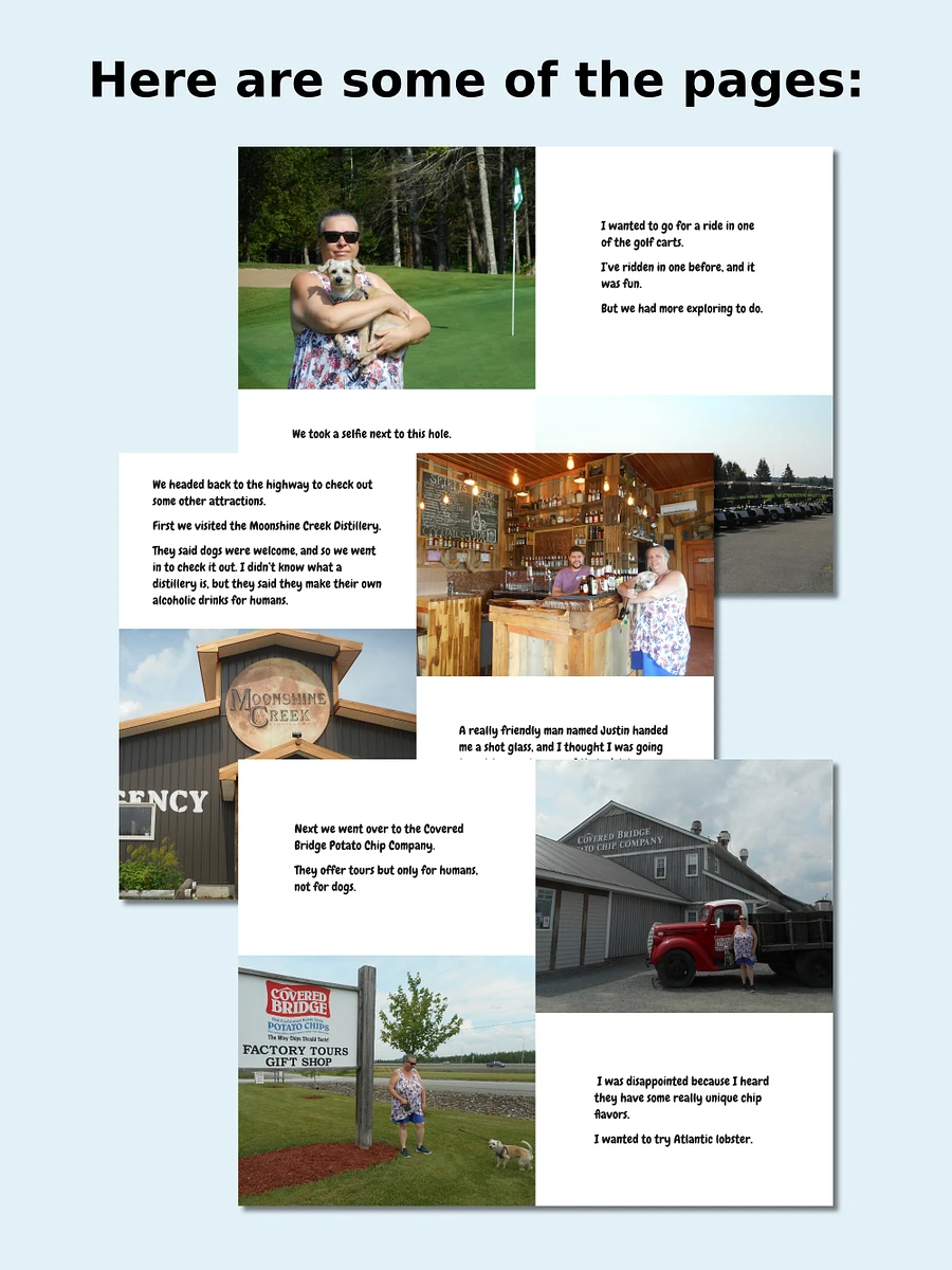 Mozzie Visits Hartland - eBook product image (4)