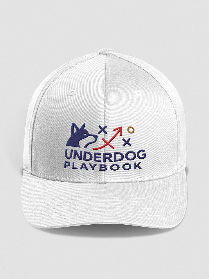 The Playmaker Cap product image (29)