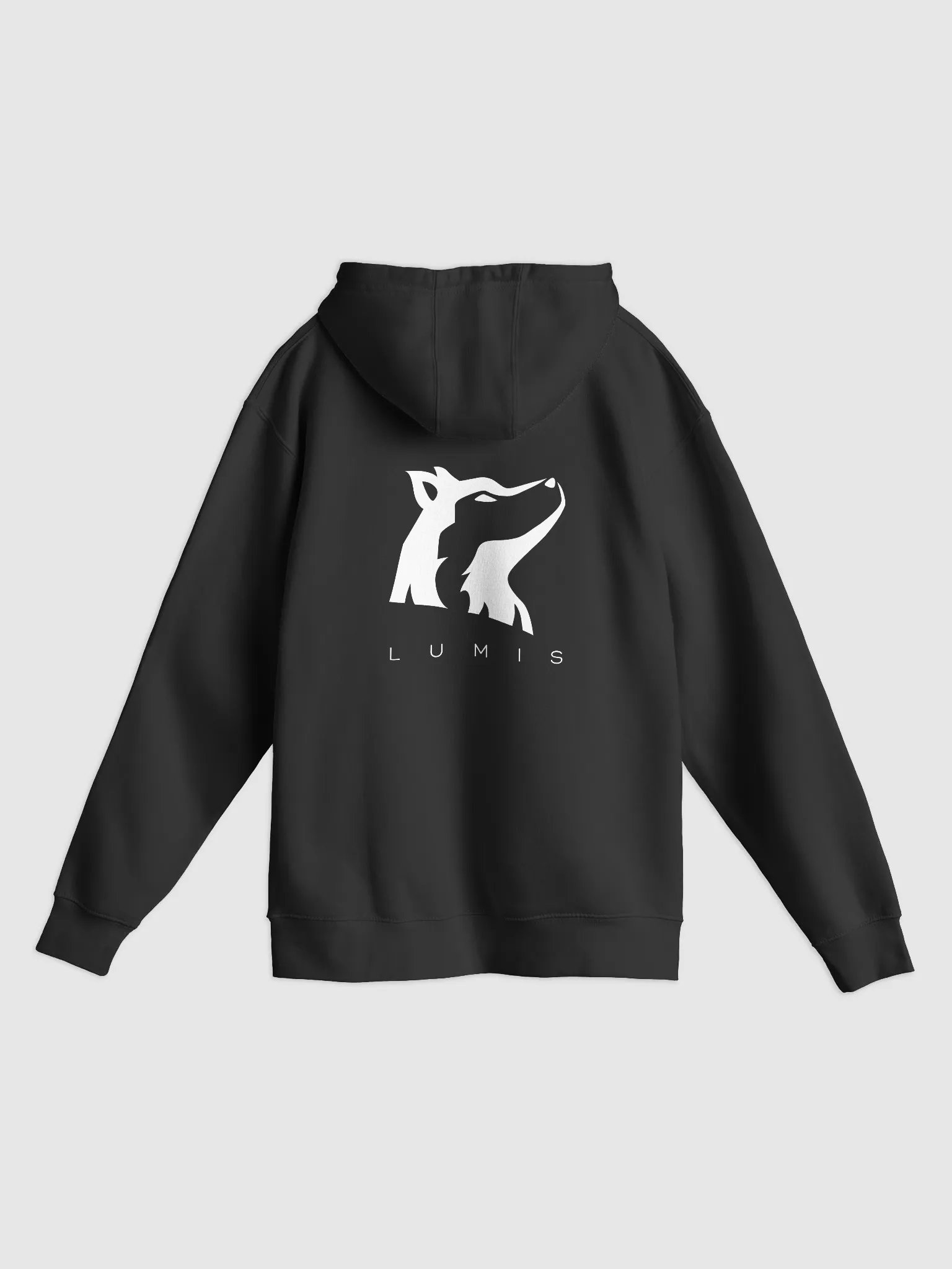 Lumis Regular Hoodie product image (2)