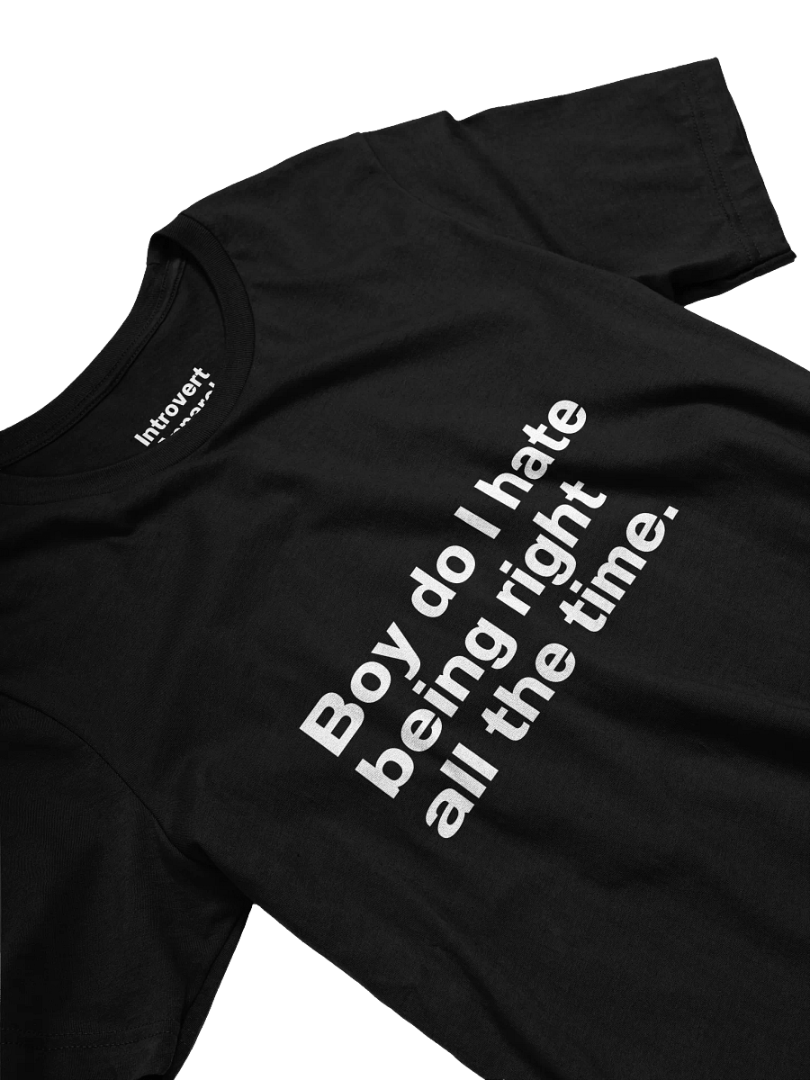 Boy do I hate being right all the time. Unisex T-Shirt product image (24)