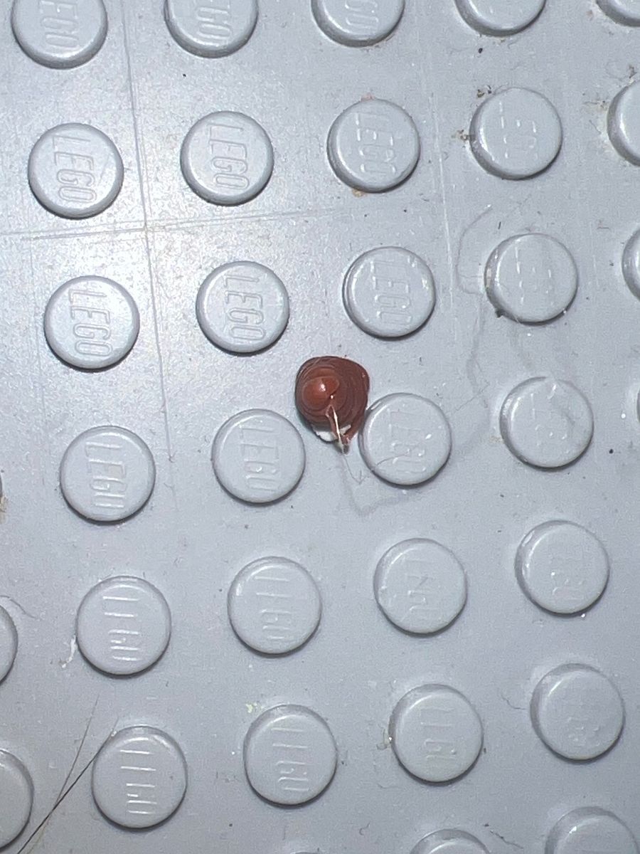 Enter in poop piece product image (2)