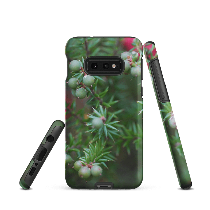 Berries product image (2)