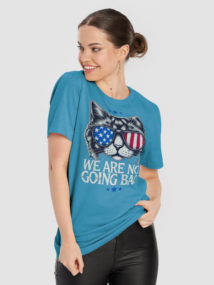 US Election Day 2024 We Are Not Going Back Cat America Flag T-Shirt product image (2)