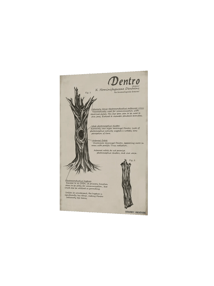 Dentro Poster product image (2)