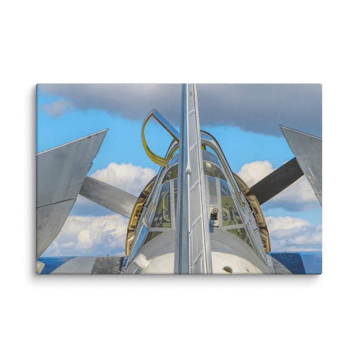 TBM Avenger product image (1)