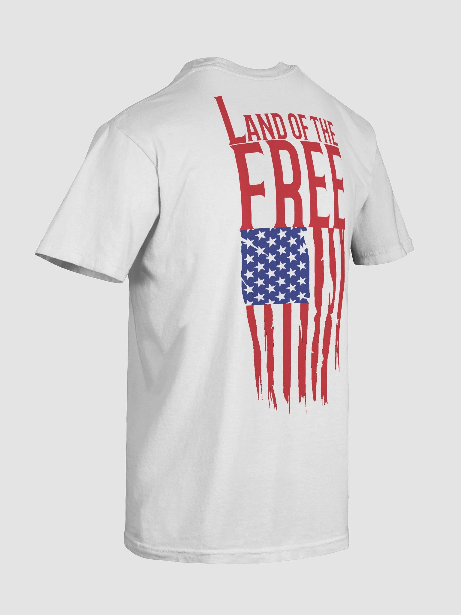 LAND OF THE FREE Salty Tee product image (1)