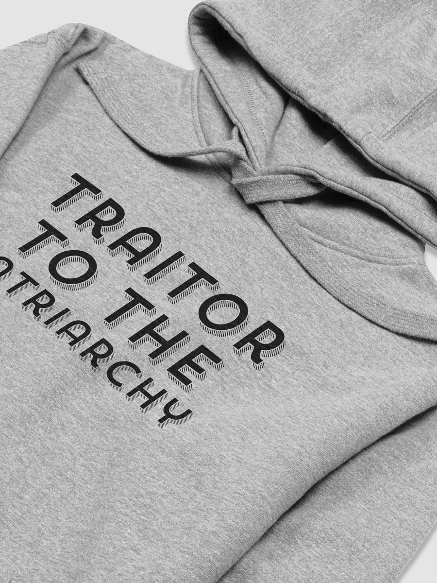 Traitor to the Patriarchy Hoodie product image (3)
