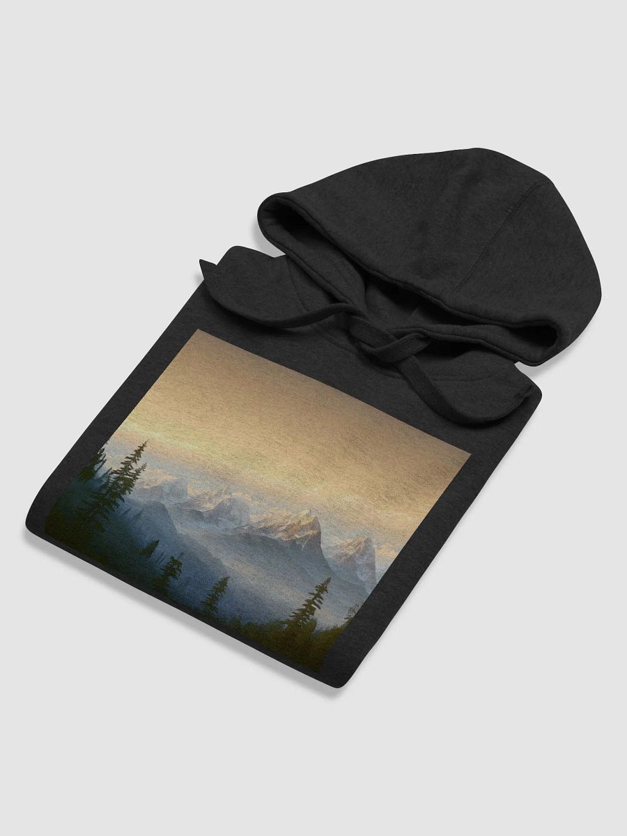 Cotton Heritage Unisex Premium Hoodie: The Ultimate Comfort Staple product image (61)
