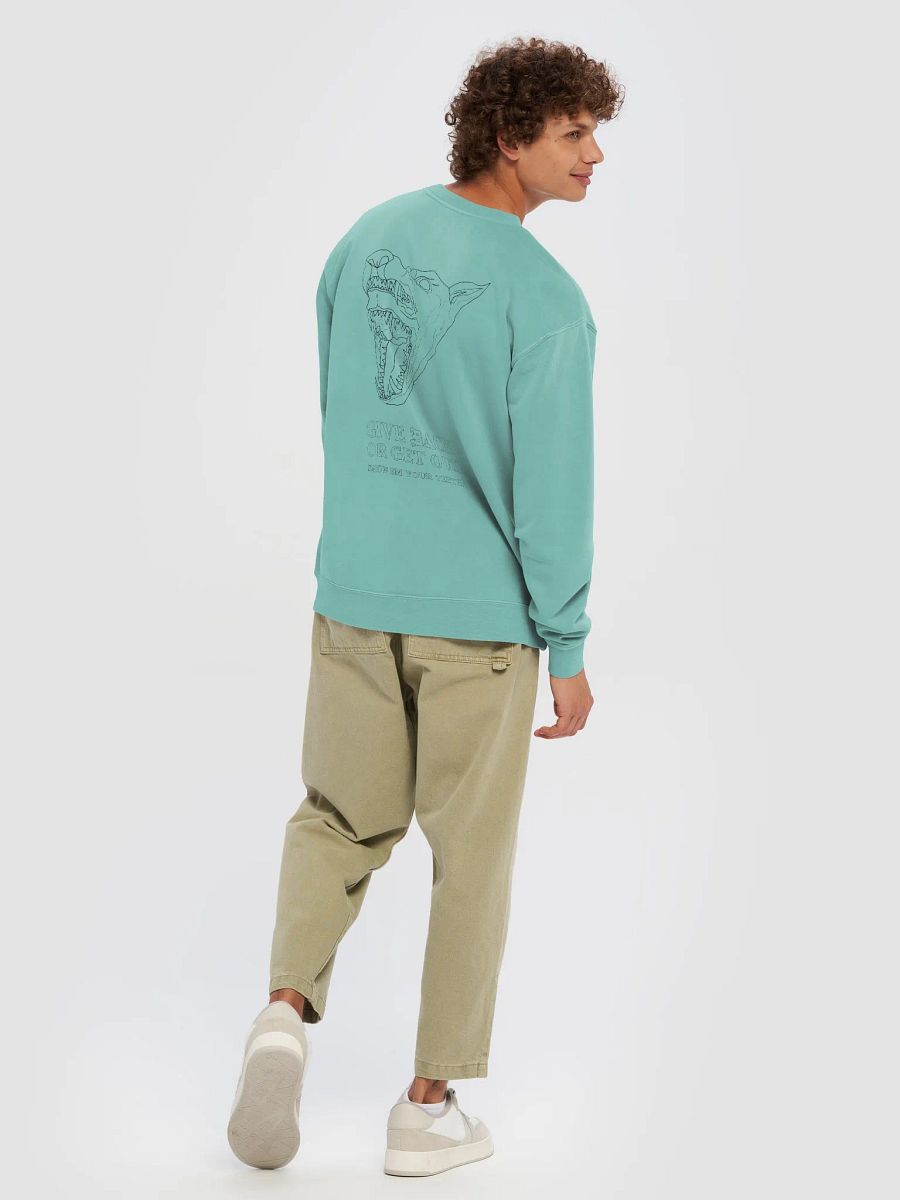 Show Em crewneck 1 product image (4)