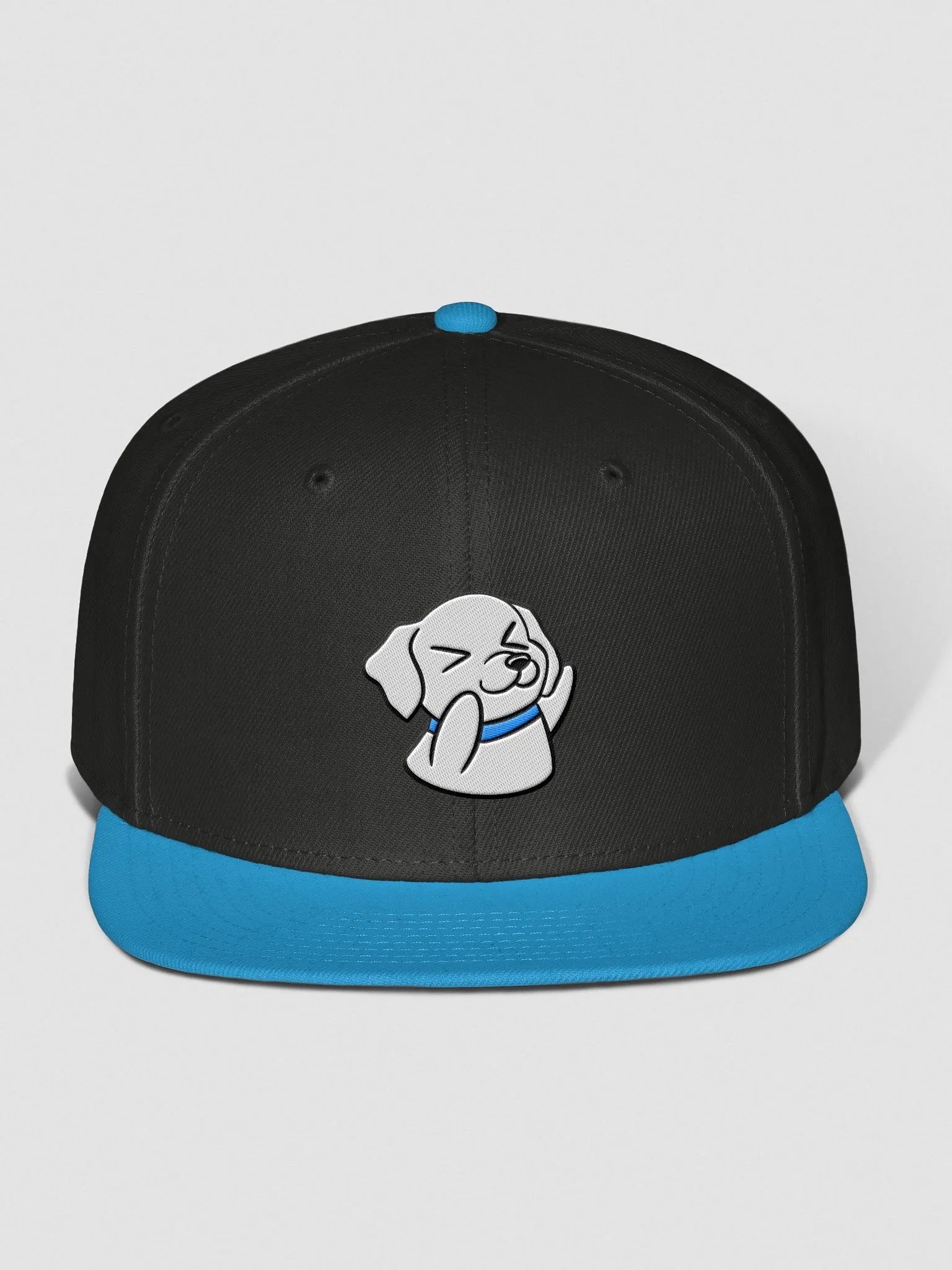 Hype Snapback product image (2)