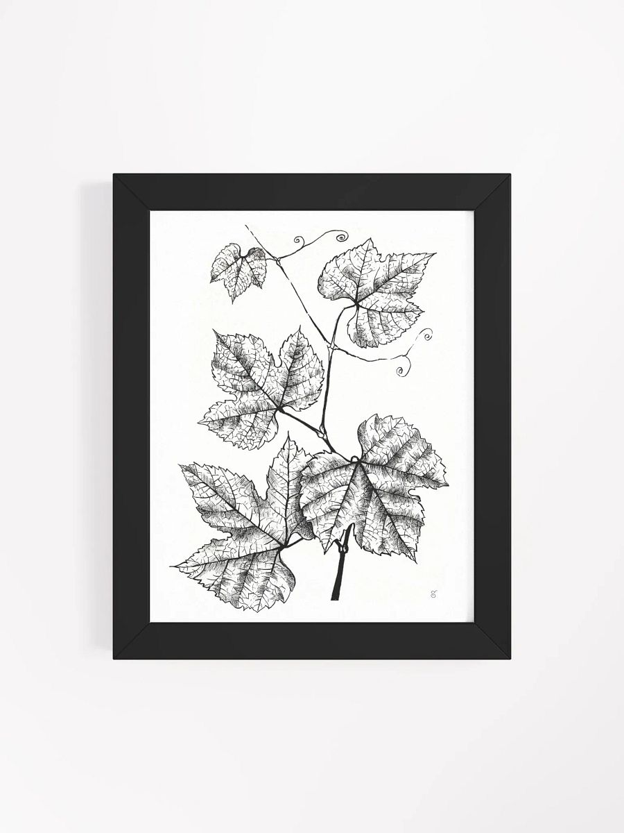 Intricate Vine Line Art Poster - Grape Leaves product image (10)