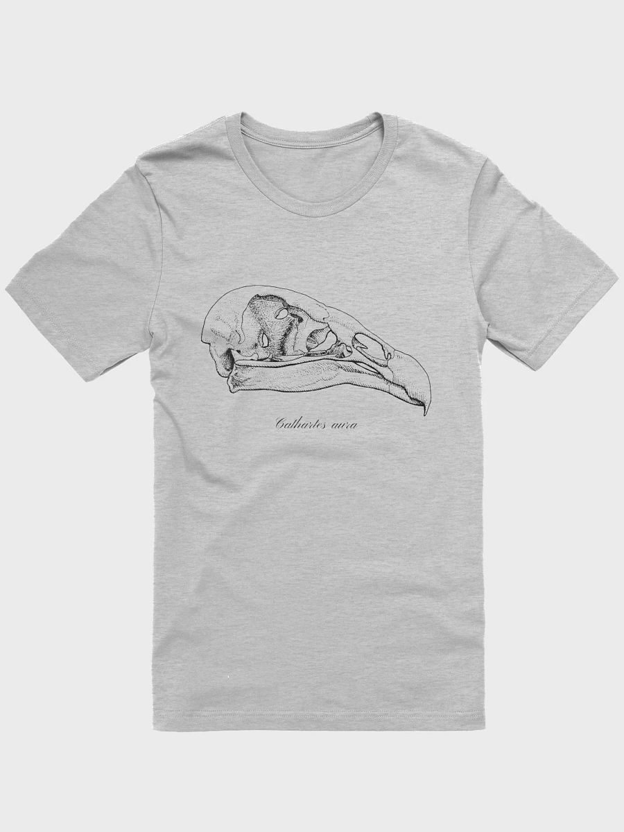 Turkey Vulture Skull product image (10)
