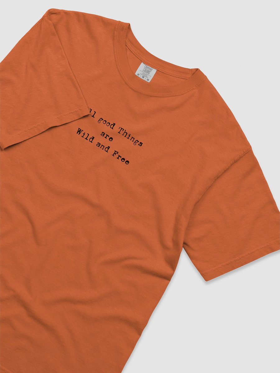 Cat Wisdom T Shirt product image (102)