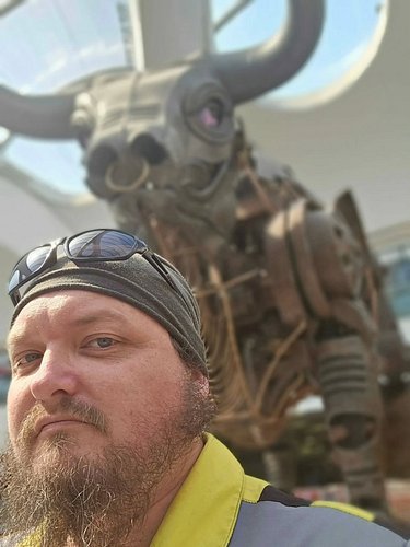 When you name your joint venture Bull & Compass, you don’t expect the bull to turn up and check on you personally!

Don’t wor...