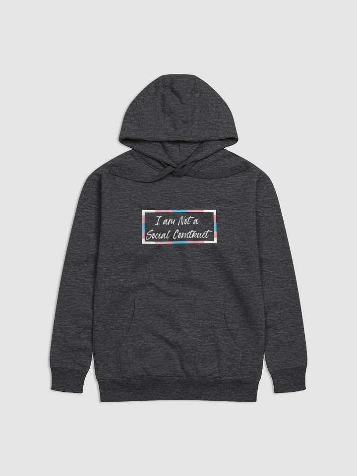 I am Not a Social Construct - Trans - Hoodie product image (1)