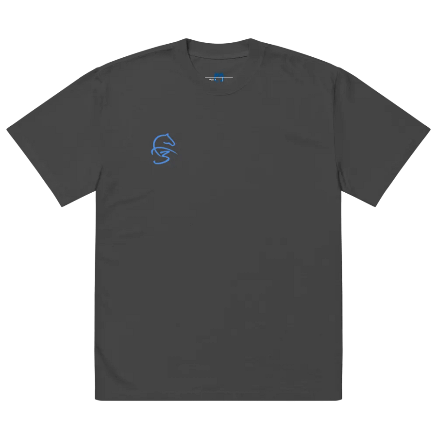 F3 Horse Logo Oversized Faded T-Shirt product image (2)