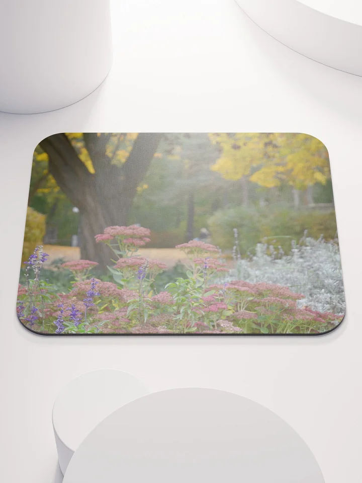 Mauspad - Park im Herbst product image (1)
