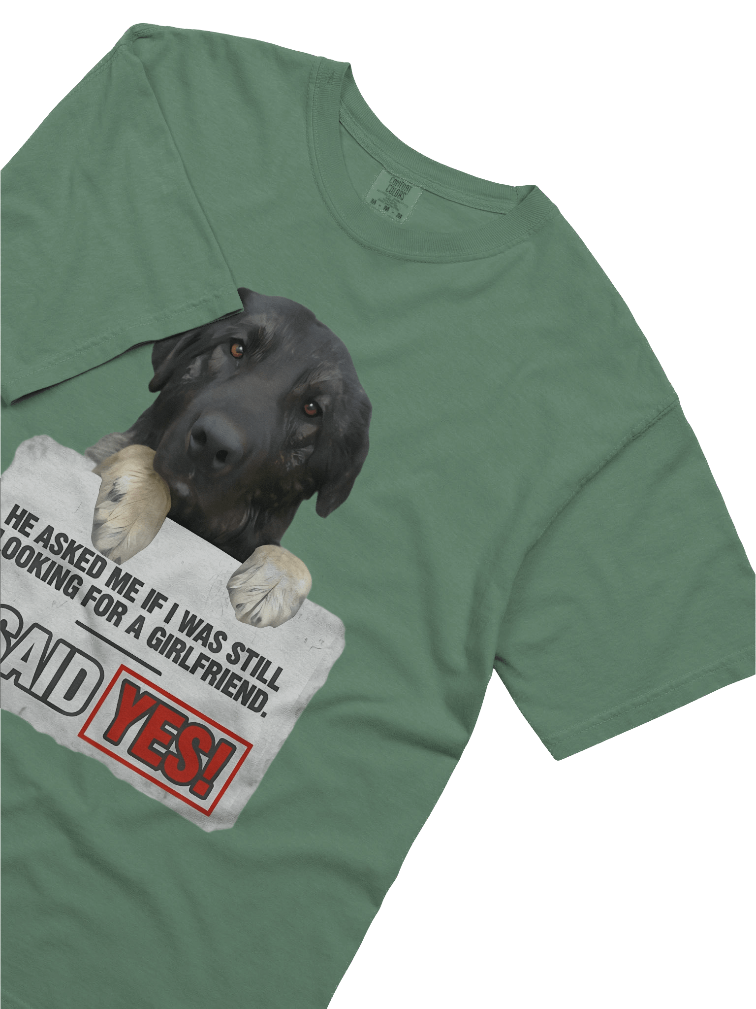 Funny Quote T-Shirt with Dog Design | Best Single Guy's Gift product image (5)