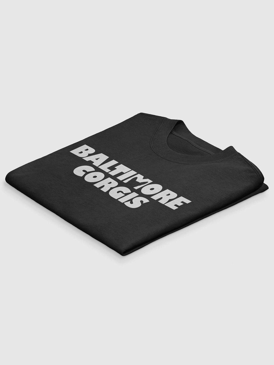 Baltimore Corgis Oversized T-Shirt product image (4)