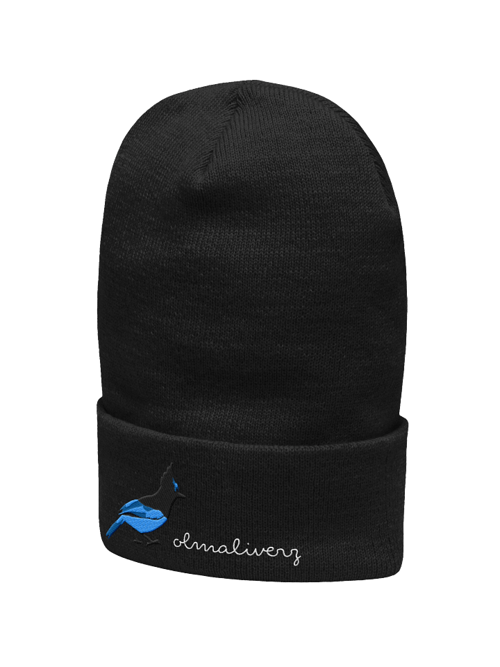 daily bird - steller's jay beanie product image (5)