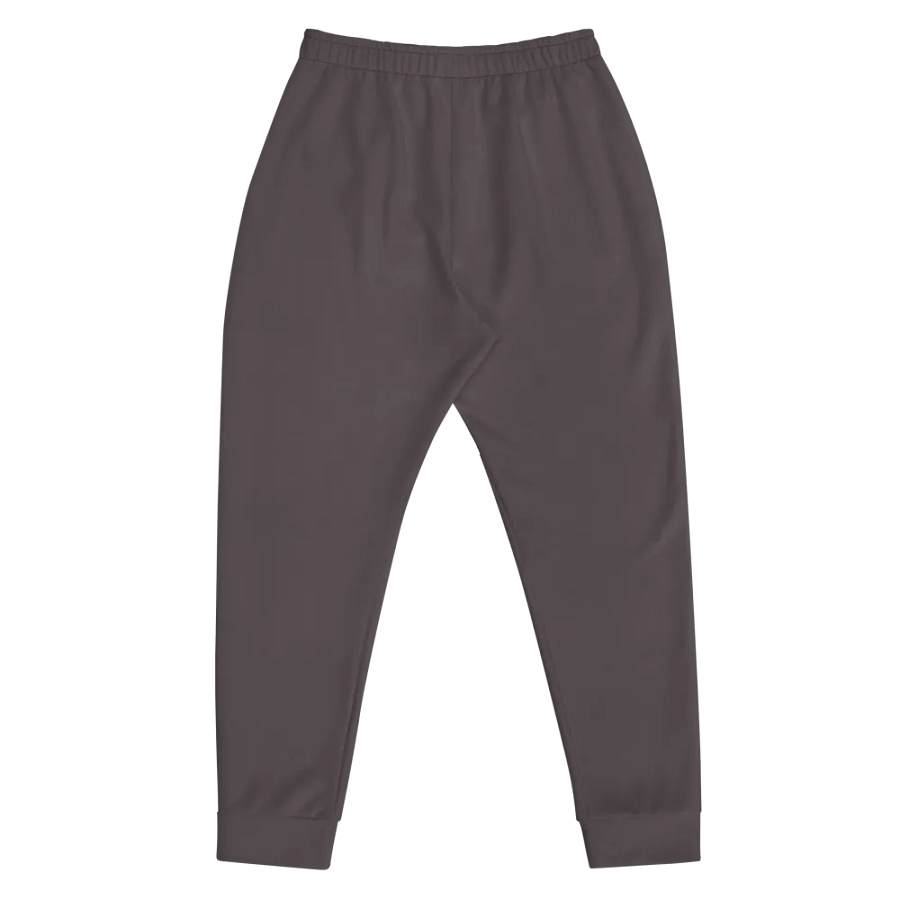 Plain Dark Brown True Summer Recycled Polyester Premium Men's Joggers by Treasure Pie product image (5)