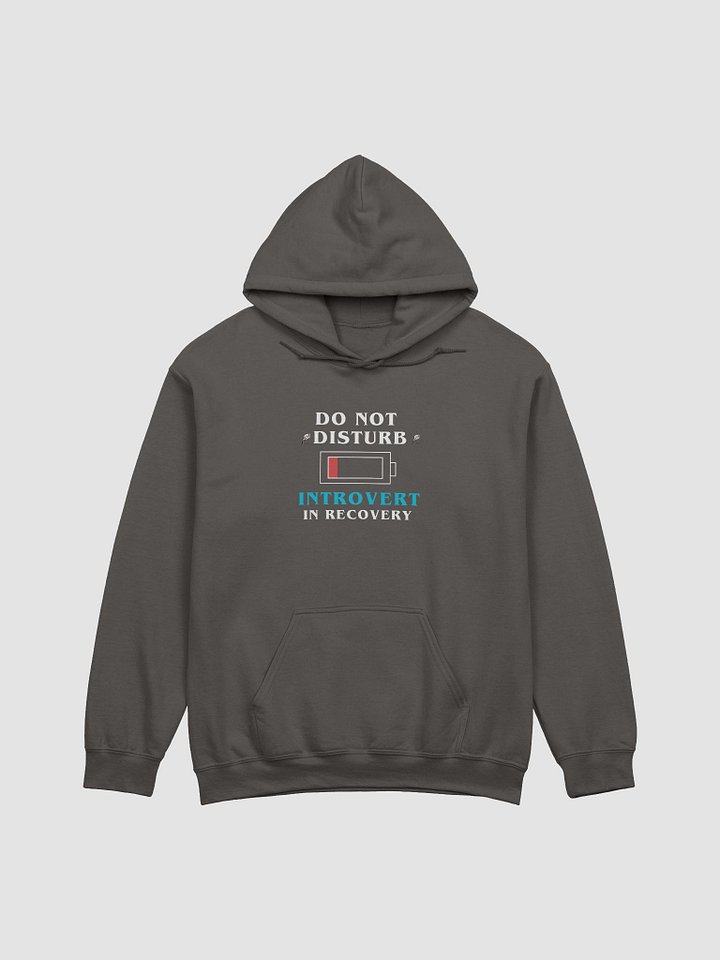 Do Not Disturb: Introvert in Recovery Hoodie product image (9)