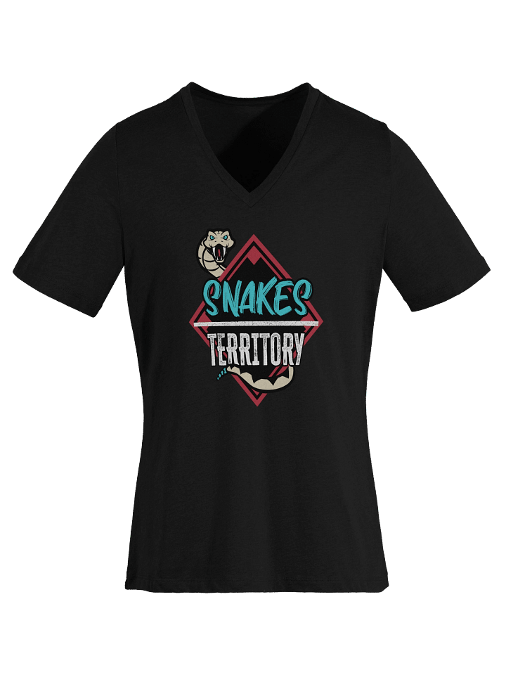 Women's V-Neck T-Shirt product image (1)